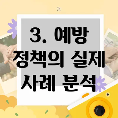 3. 예방 정책의 실제 사례 분석