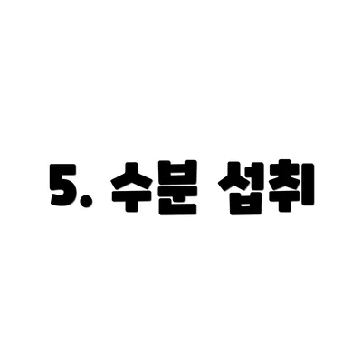5. 수분 섭취