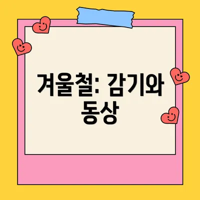 겨울철: 감기와 동상