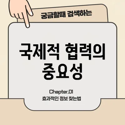 국제적 협력의 중요성