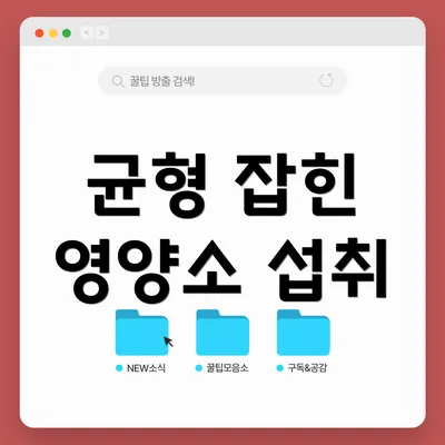 균형 잡힌 영양소 섭취