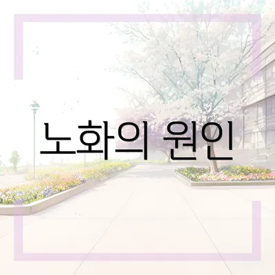 노화의 원인