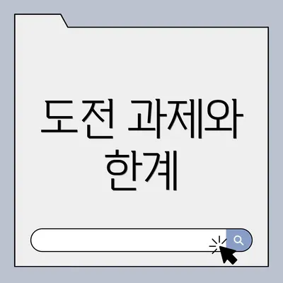 도전 과제와 한계