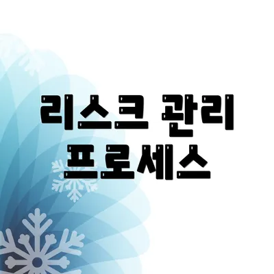리스크 관리 프로세스