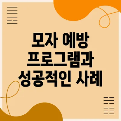모자 예방 프로그램과 성공적인 사례