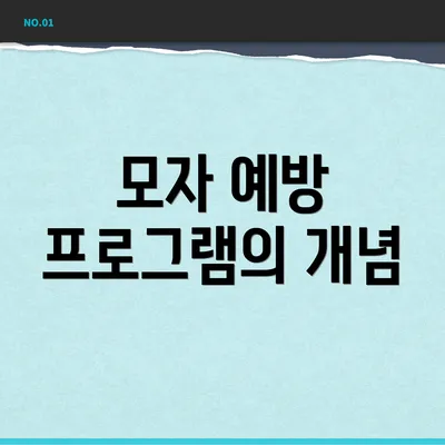 모자 예방 프로그램의 개념