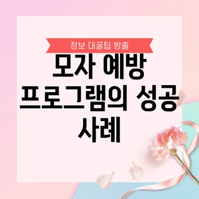 모자 예방 프로그램의 성공 사례