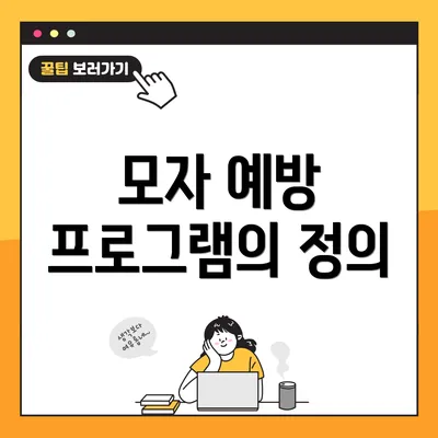 모자 예방 프로그램의 정의