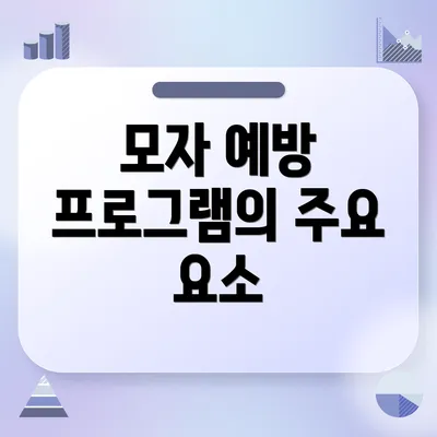 모자 예방 프로그램의 주요 요소