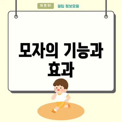 모자의 기능과 효과