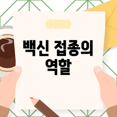 백신 접종의 역할