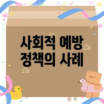 사회적 예방 정책의 사례