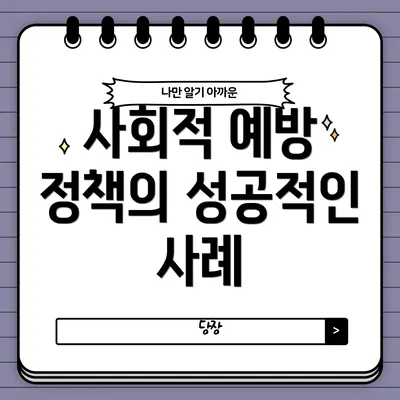 사회적 예방 정책의 성공적인 사례