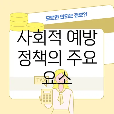 사회적 예방 정책의 주요 요소