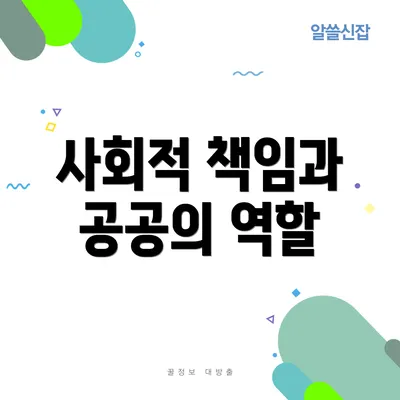 사회적 책임과 공공의 역할