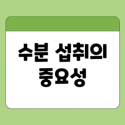수분 섭취의 중요성