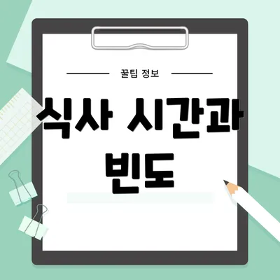 식사 시간과 빈도