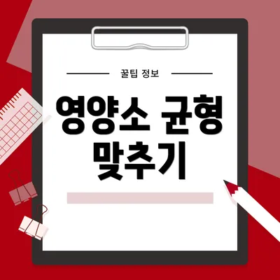 영양소 균형 맞추기