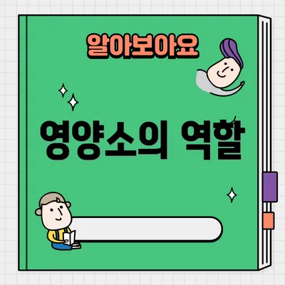 영양소의 역할