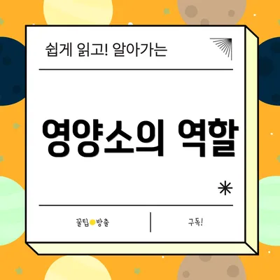 영양소의 역할