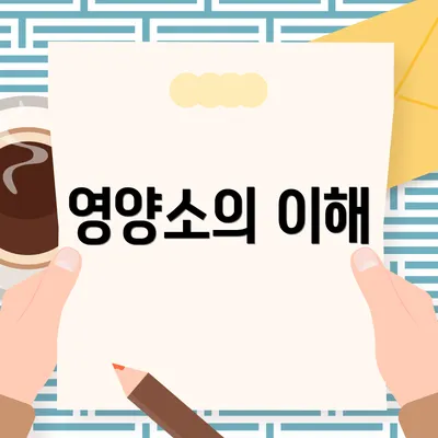 영양소의 이해