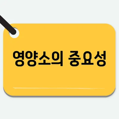 영양소의 중요성