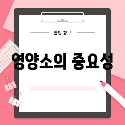 영양소의 중요성