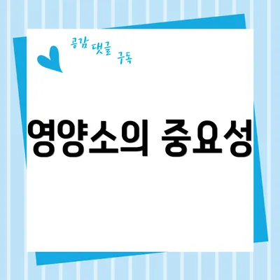 영양소의 중요성