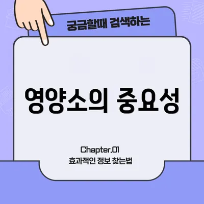 영양소의 중요성