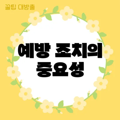 예방 조치의 중요성