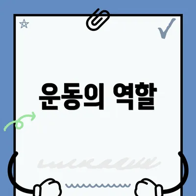운동의 역할