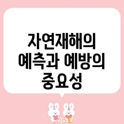 자연재해의 예측과 예방의 중요성