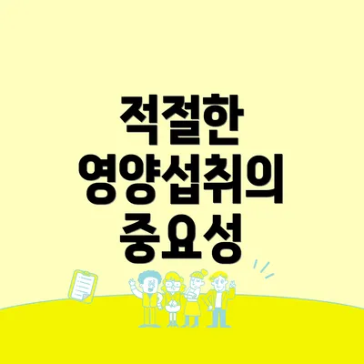 적절한 영양섭취의 중요성