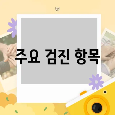 주요 검진 항목