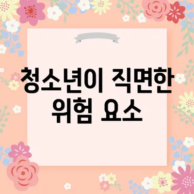 청소년이 직면한 위험 요소