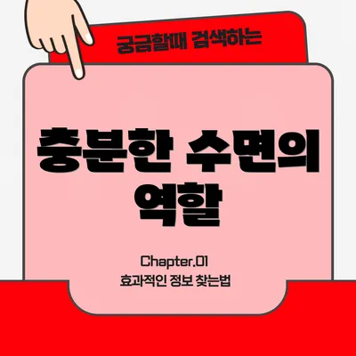 충분한 수면의 역할