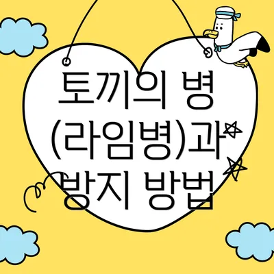 토끼의 병 (라임병)과 방지 방법