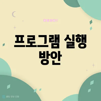 프로그램 실행 방안