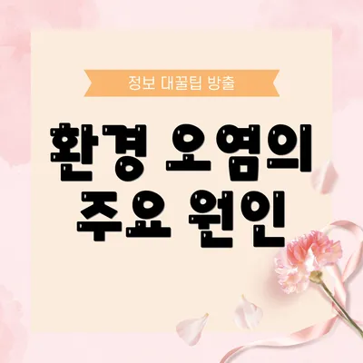 환경 오염의 주요 원인
