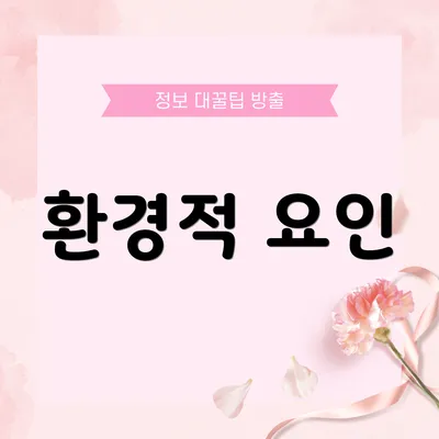 환경적 요인
