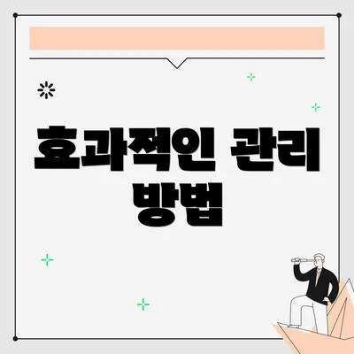 효과적인 관리 방법