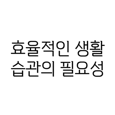 효율적인 생활 습관의 필요성