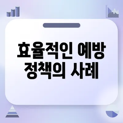 효율적인 예방 정책의 사례