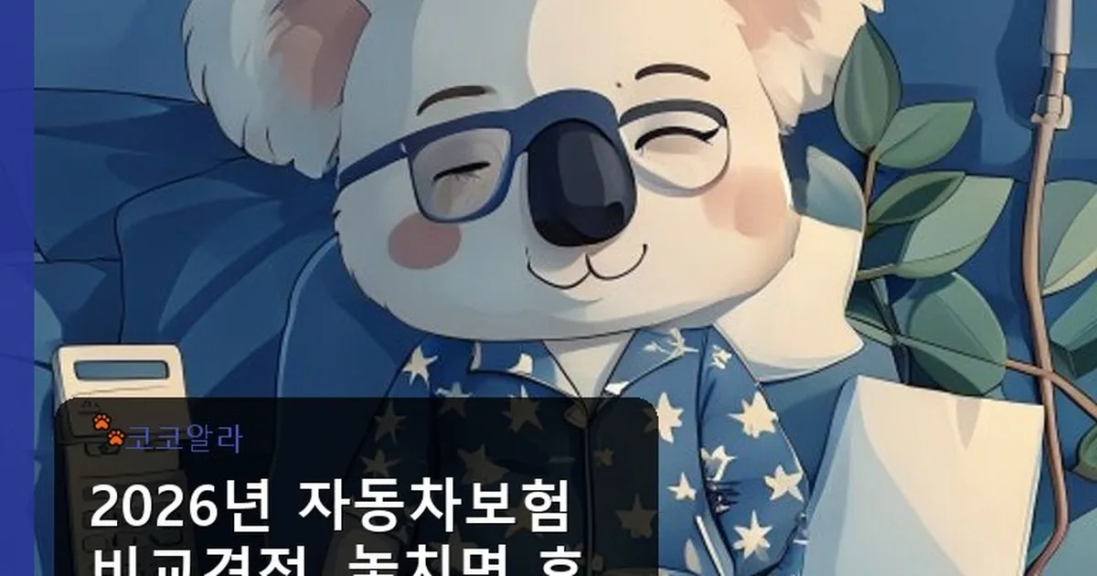 자동차보험 비교견적 - aaa12a.co.kr 캐릭터