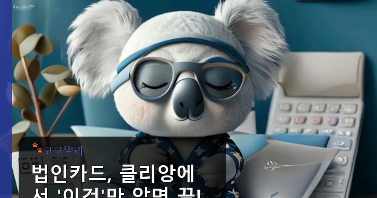 법인카드 추천 클리앙 - aaa12a.co.kr 캐릭터