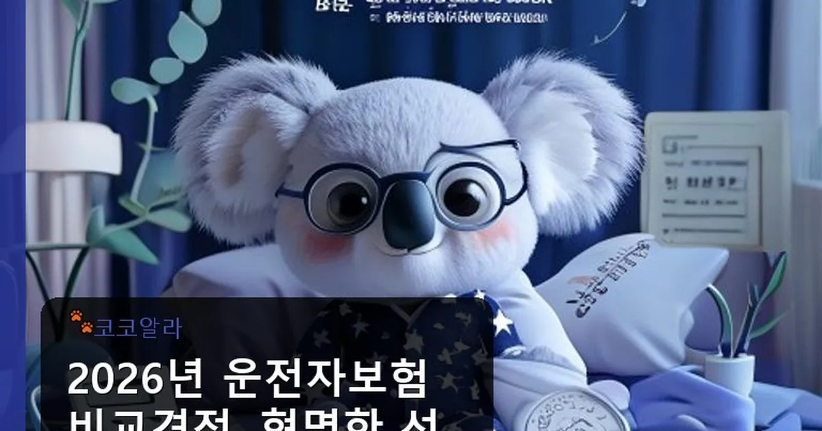 운전자보험 비교견적 - aaa12a.co.kr 캐릭터